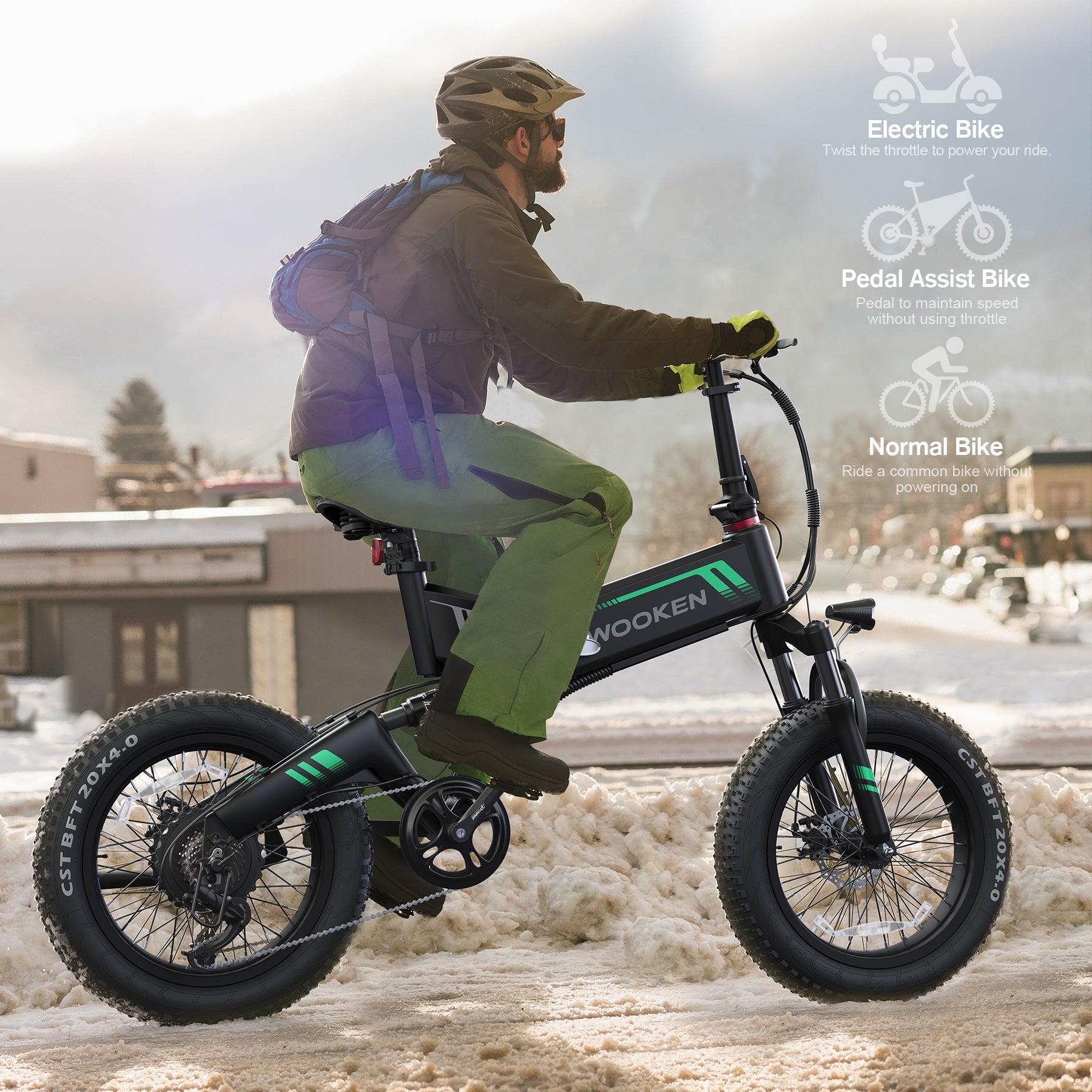 TotGuard W-206 Full Suspension Folding Fat Tire Electric Bike - TotGuard