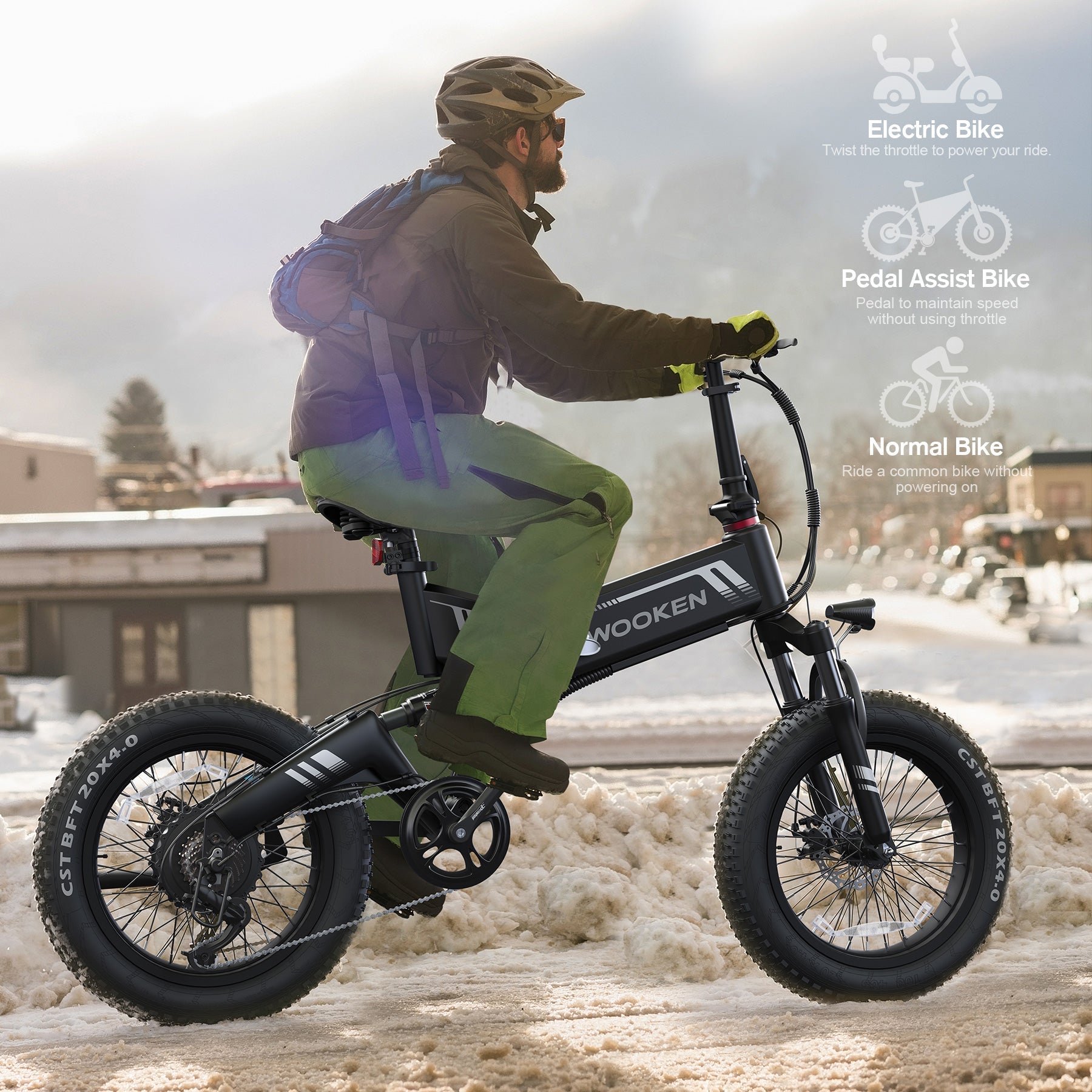 TotGuard W-206 Full Suspension Folding Fat Tire Electric Bike - TotGuard