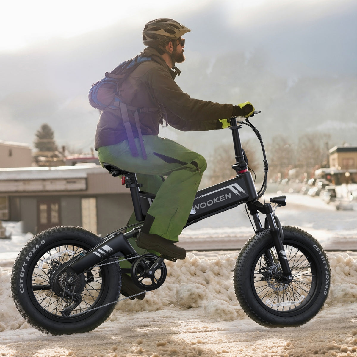 TotGuard Wooken Full Suspension Folding Fat Tire Electric Bike - TotGuard