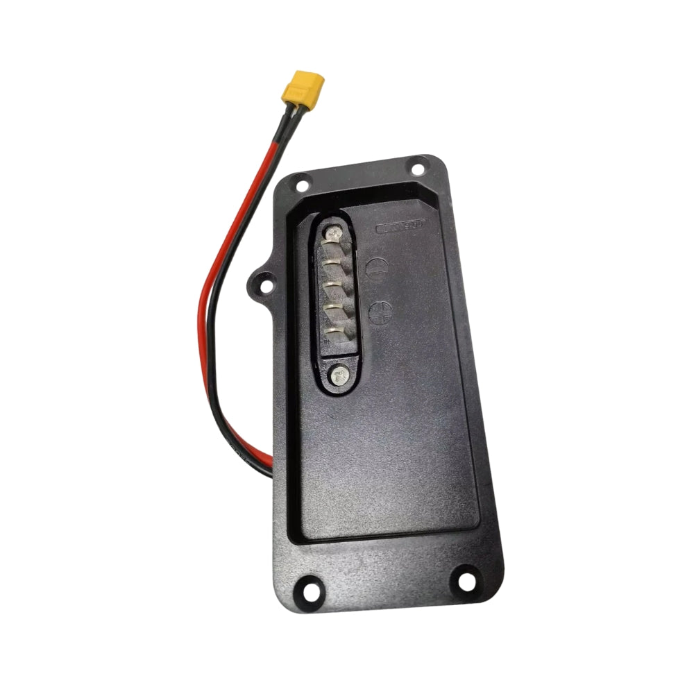 TotGuard Electric Bike Battery Discharge Plate For Pioneer