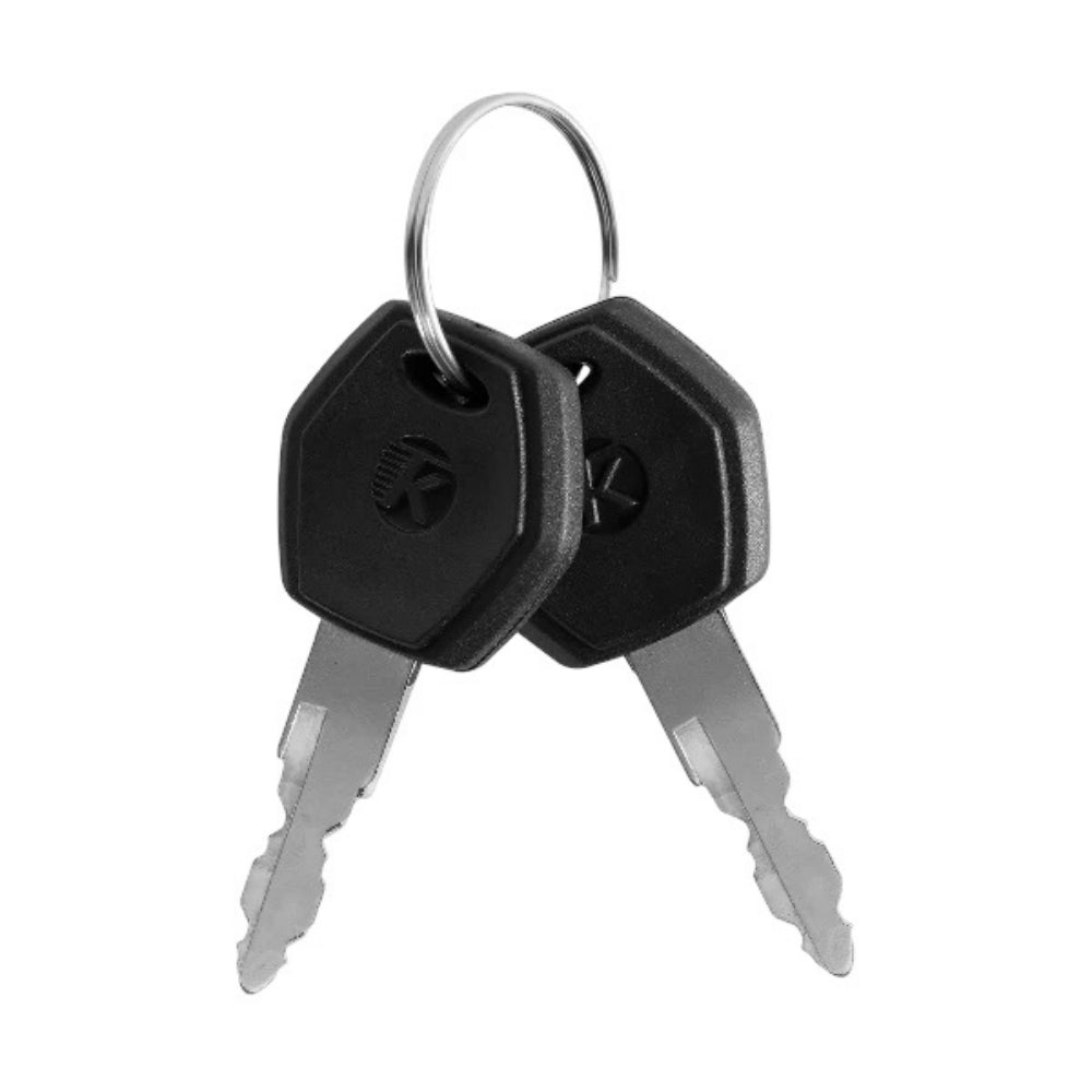 TotGuard Electric Bike Battery Keys (Customized)