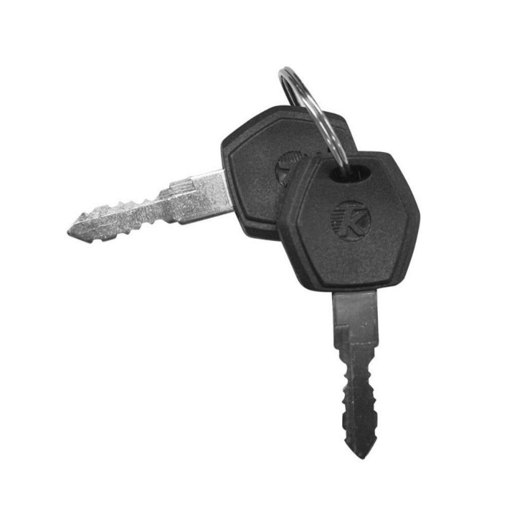 TotGuard Electric Bike Battery Keys (Customized) - TotGuard