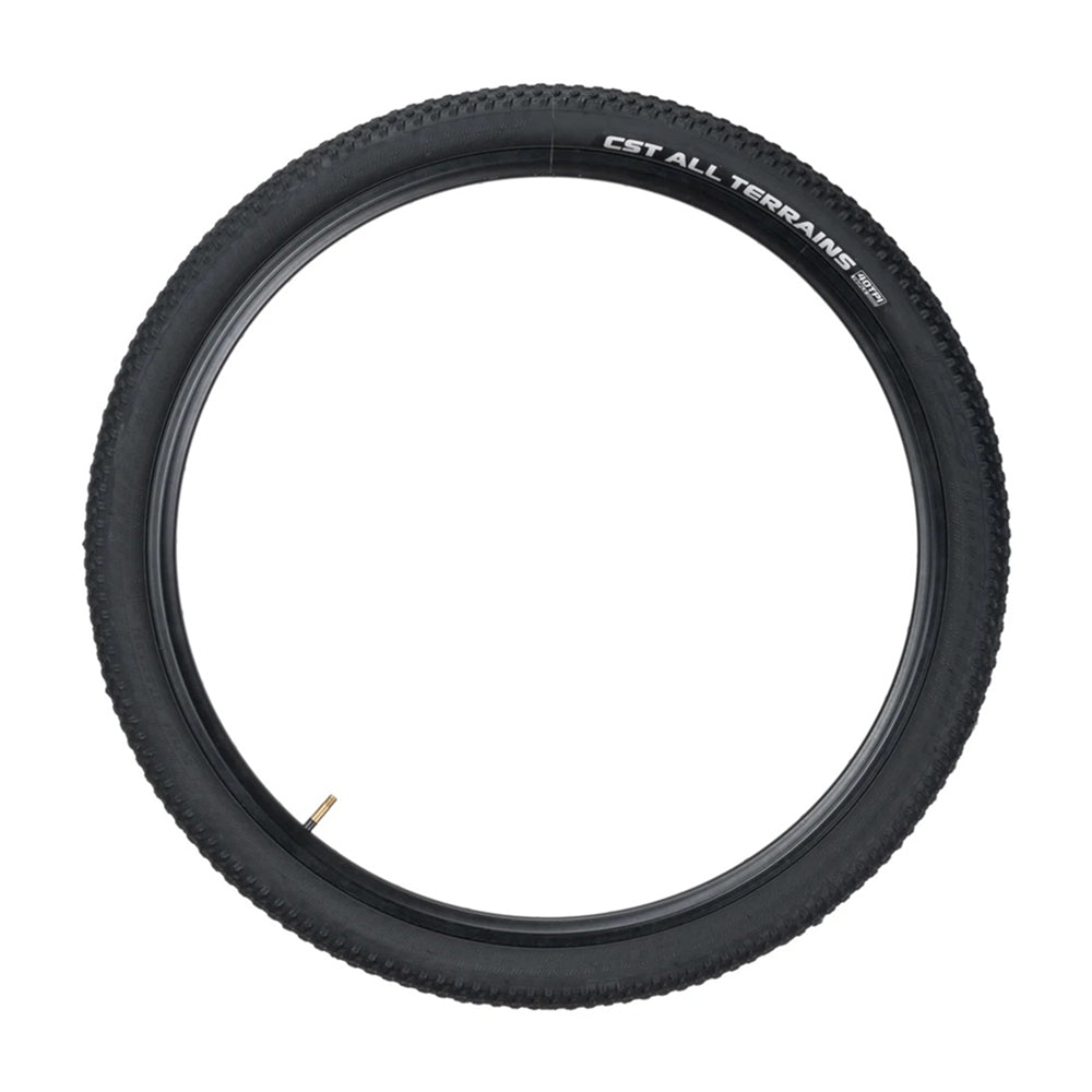 TotGuard Electric Bike Tires - TotGuard