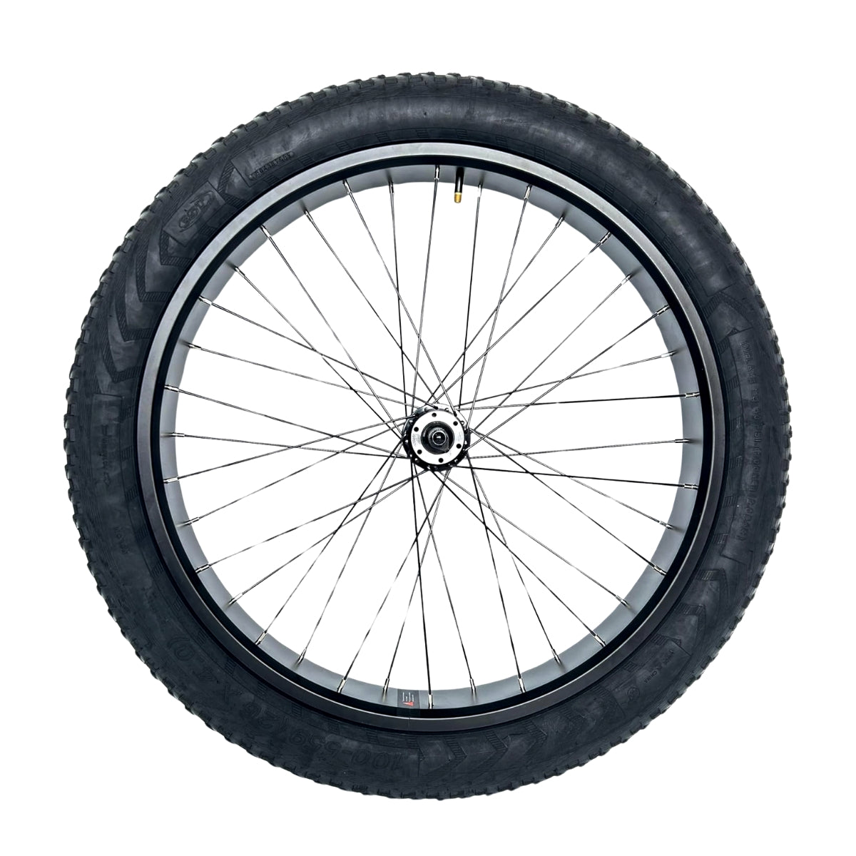 TotGuard Electric Bike Front Wheels - TotGuard