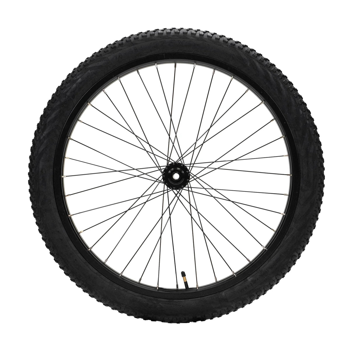 TotGuard Electric Bike Front Wheels - TotGuard