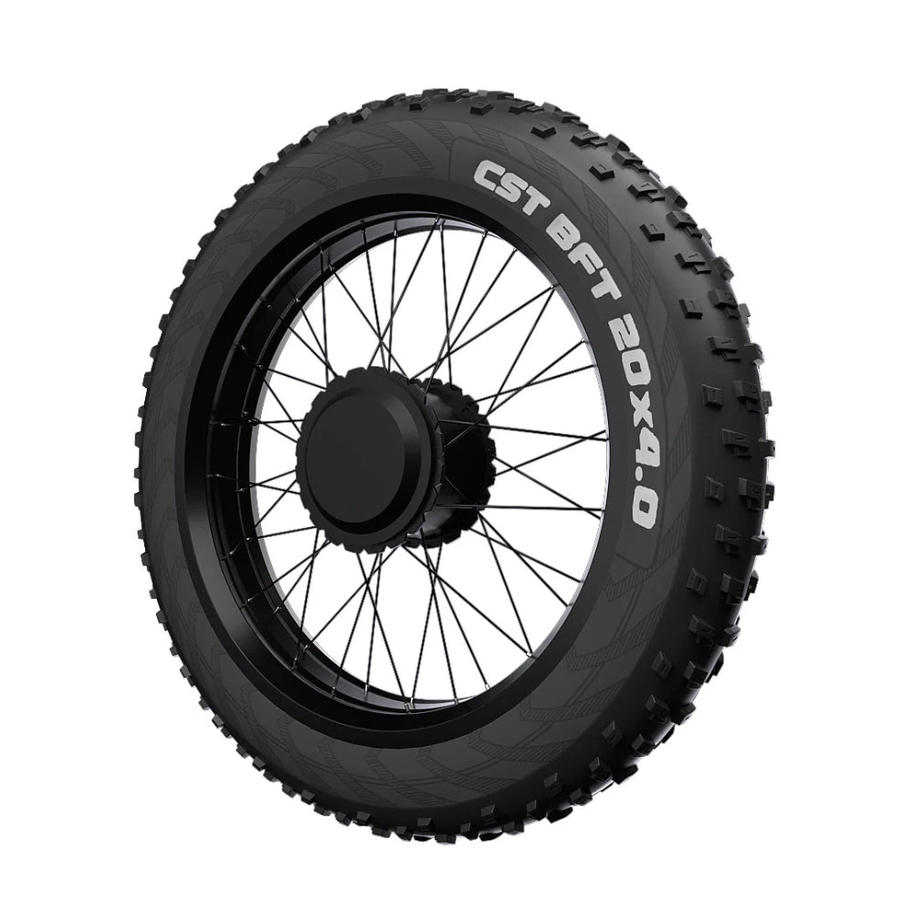 TotGuard Electric Bike Rear Wheels - TotGuard