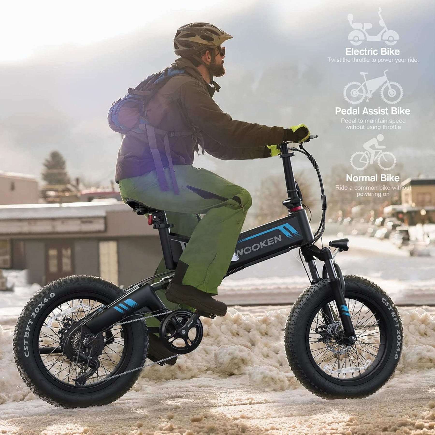 TotGuard Wooken Full Suspension Folding Fat Tire Electric Bike - TotGuard