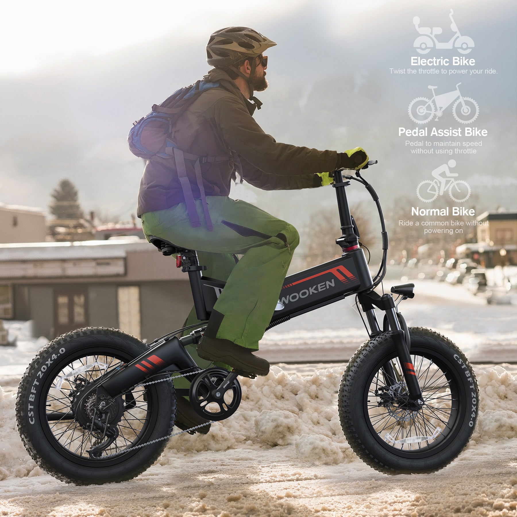 TotGuard Wooken Full Suspension Folding Fat Tire Electric Bike - TotGuard