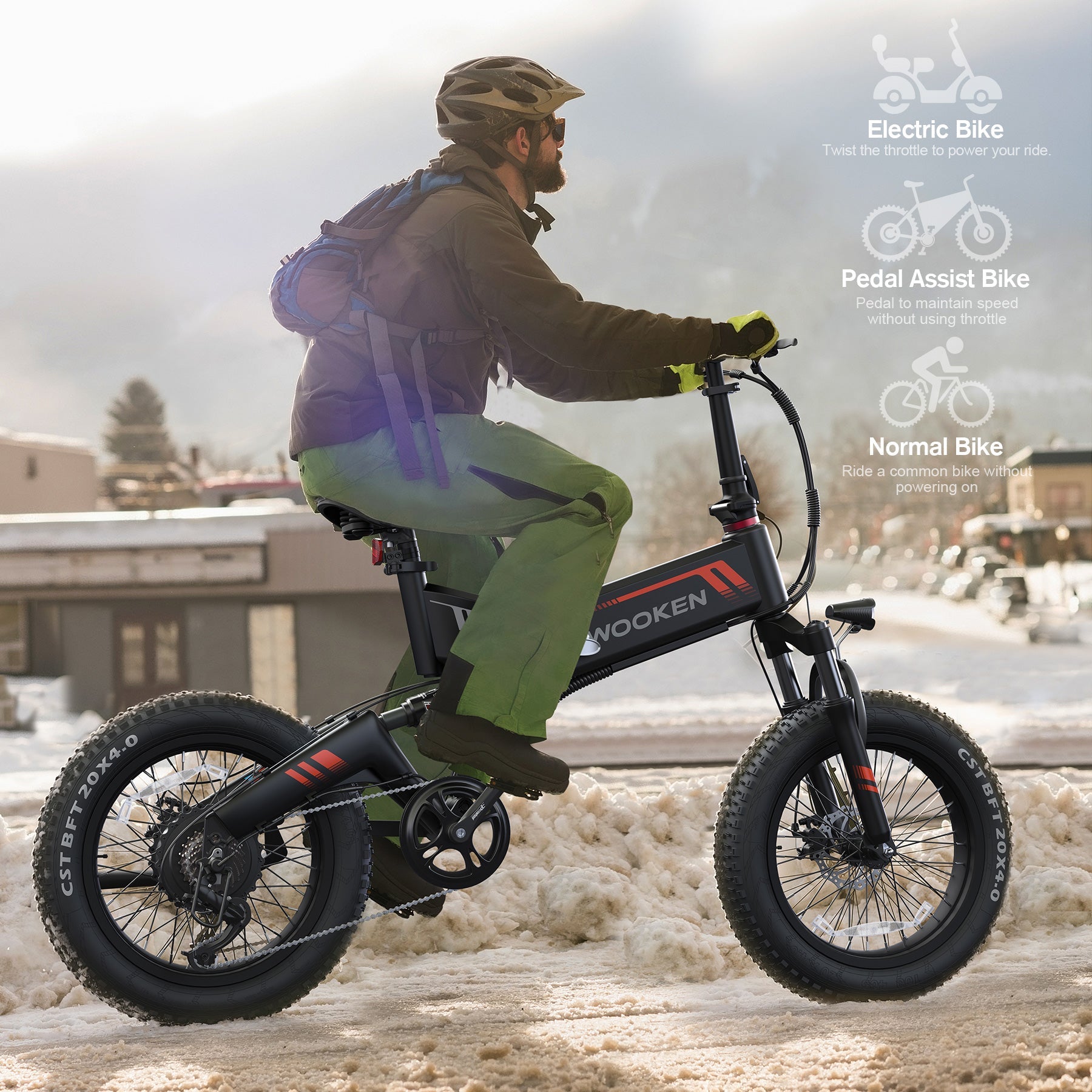 TotGuard W-206 Full Suspension Folding Fat Tire Electric Bike - TotGuard