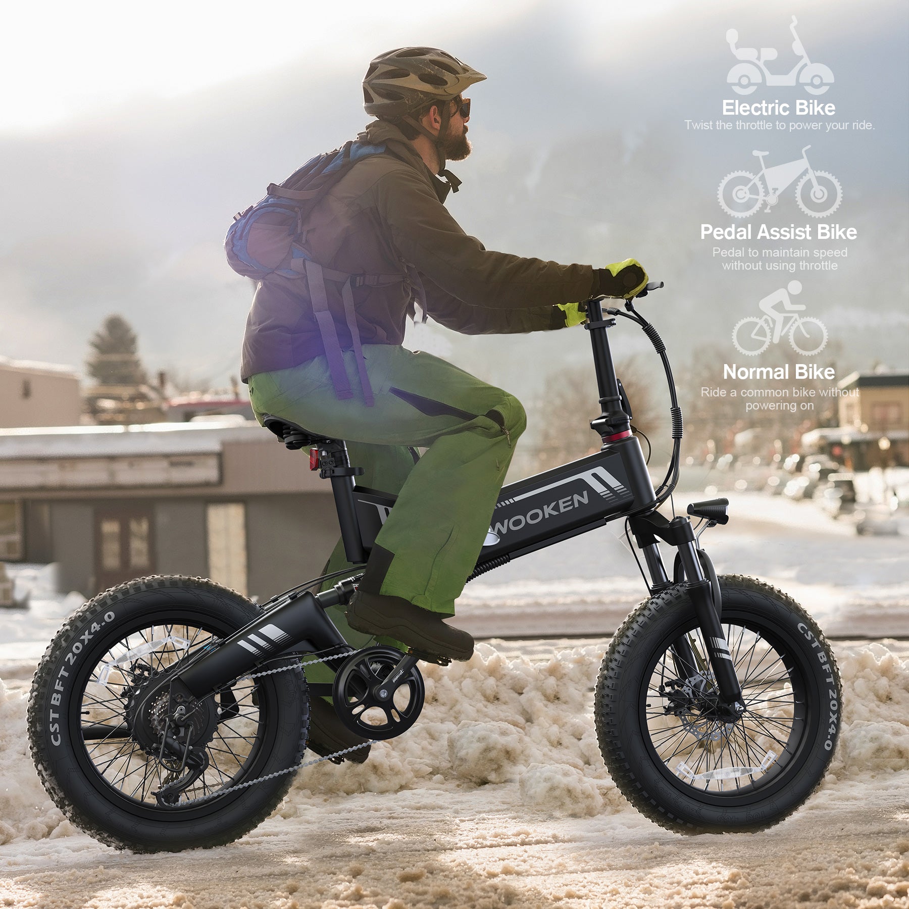 TotGuard Wooken Full Suspension Folding Fat Tire Electric Bike - TotGuard