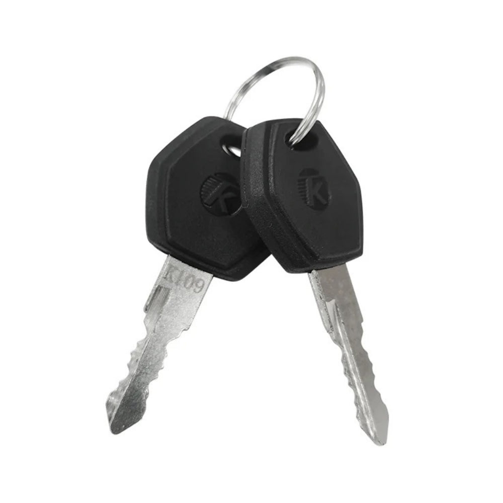 TotGuard Electric Bike Battery Keys (Customized) - TotGuard